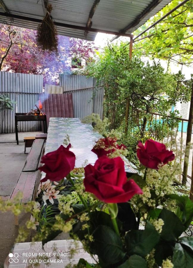 Guest House New Athos ภายนอก รูปภาพ