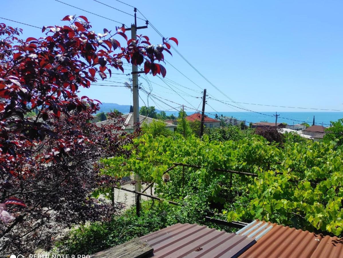 Guest House New Athos ภายนอก รูปภาพ